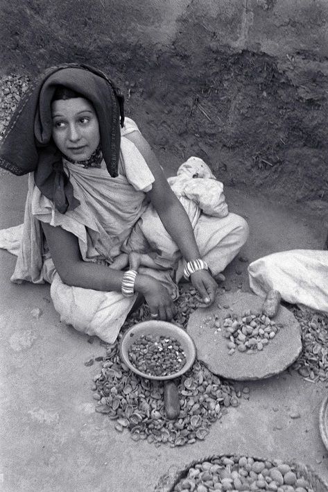 Argan oil, Morocco, Amazigh